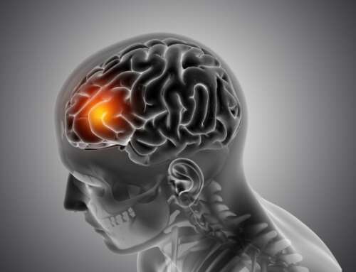 Antiinfiammatorio, neuro protettore e antiossidante: la difesa del geranio