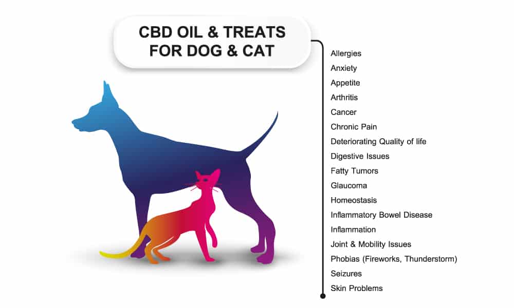 Olio cbd cura cani e gatti