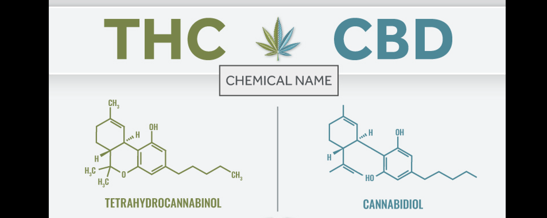 cbd thc