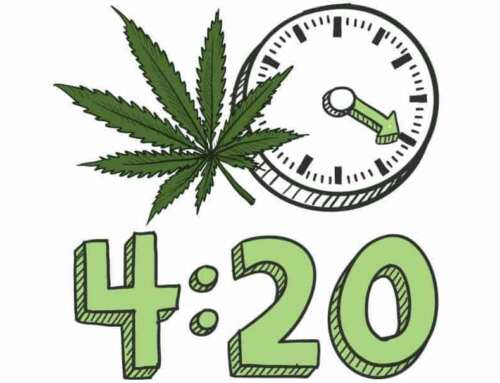 Da dove deriva il termine “4:20” nel mondo della cannabis?