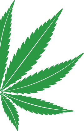 leaf-lef