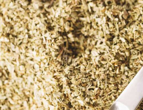 Semi di canapa: il superfood in voga nel 2023