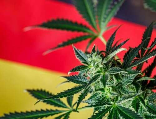 Cannabis, Svolta Storica per la Germania: Sempre più vicini alla Legalizzazione 