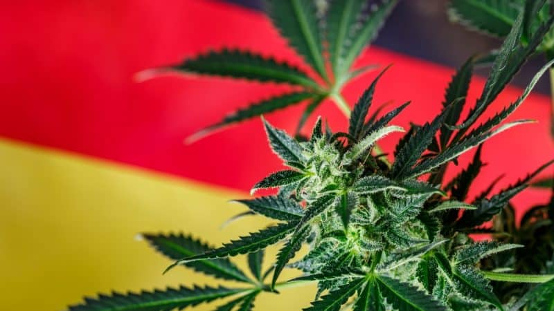 Germania legalizzazione