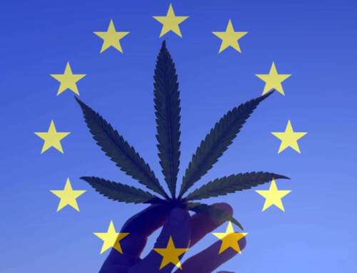 Cannabis Legale, facciamo il punto della situazione in Europa 