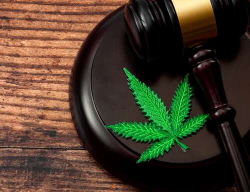 Gli Effetti Economici della Legalizzazione della Cannabis a Uso Ricreativo