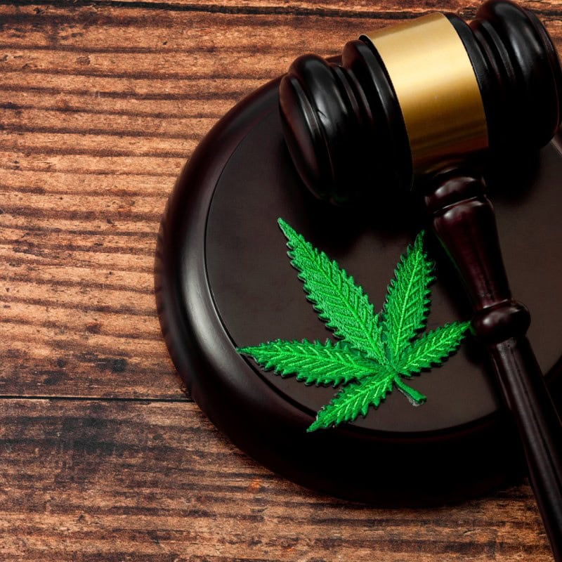 legalizzazione_cannabis