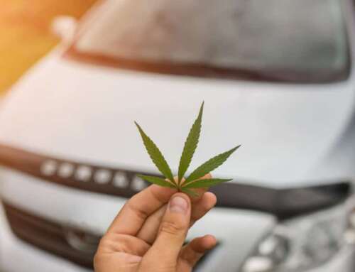 Canapa industriale: il materiale del futuro per l’industria automobilistica