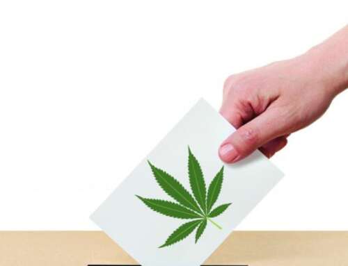 Legalizzazione della Cannabis come Modello Politico Efficace