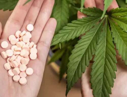 Cannabis e Benzodiazepine: Interazioni, Rischi e Potenzialità Terapeutiche
