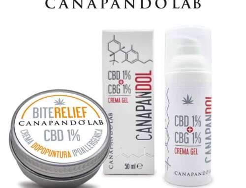 Crema Gel con CBD ed Efficacia Clinica: Studi e Applicazioni Dermatologiche