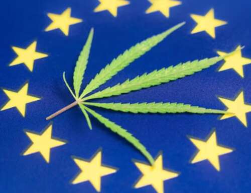 Canapa industriale: la svolta normativa dell’Unione Europea