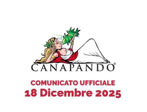 Canapando: da sempre contrari ai cannabinoidi sintetici. Non oggi, da sempre.