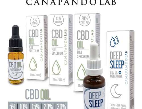 Miglior Olio CBD: guida completa per scegliere la concentrazione giusta e usarlo davvero bene